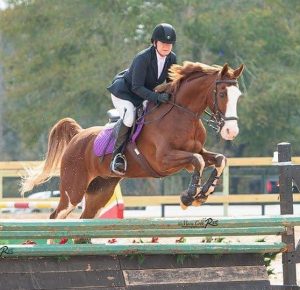 Activities – Lisa Morris on Leo Emily Stamboulieh Mod