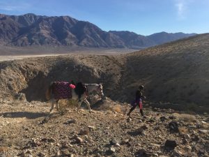 Tera Allen Death Valley BF HA