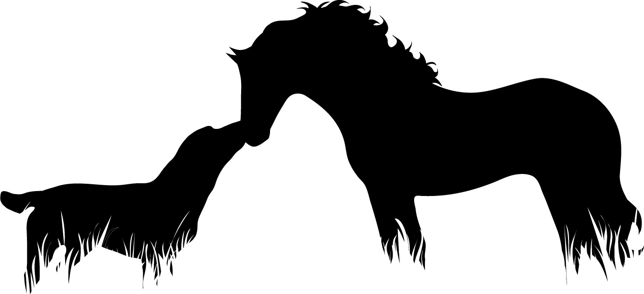 blog horse and dog