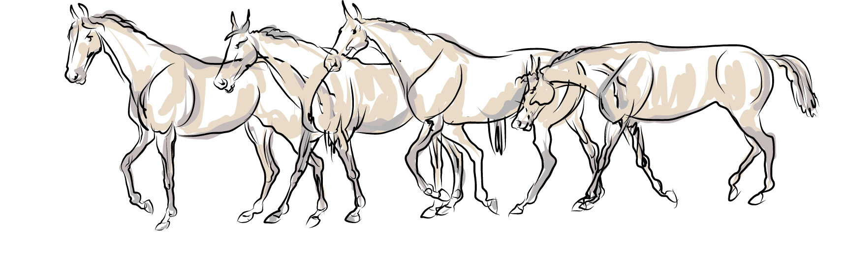 hoof armor_how to horse